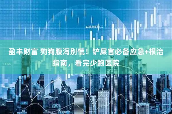 盈丰财富 狗狗腹泻别慌！铲屎官必备应急+根治指南，看完少跑医院