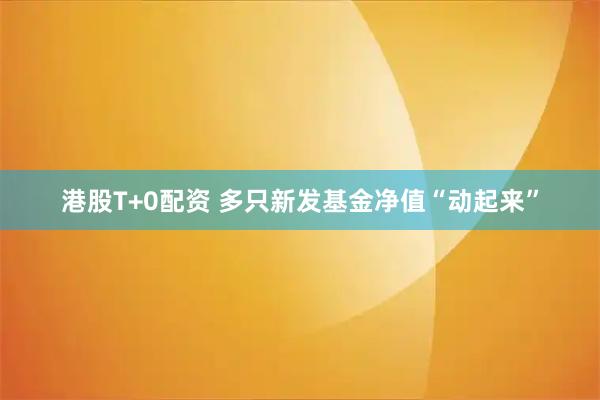 港股T+0配资 多只新发基金净值“动起来”