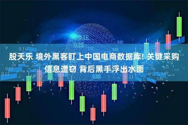 股天乐 境外黑客盯上中国电商数据库! 关键采购信息遭窃 背后黑手浮出水面