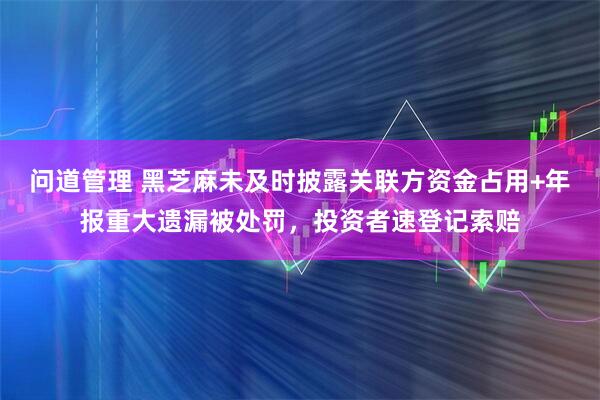 问道管理 黑芝麻未及时披露关联方资金占用+年报重大遗漏被处罚，投资者速登记索赔